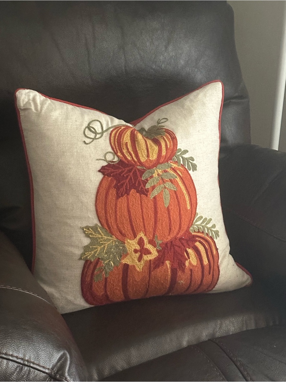 Throw pillow feather filled autumn fall removable cover home decor